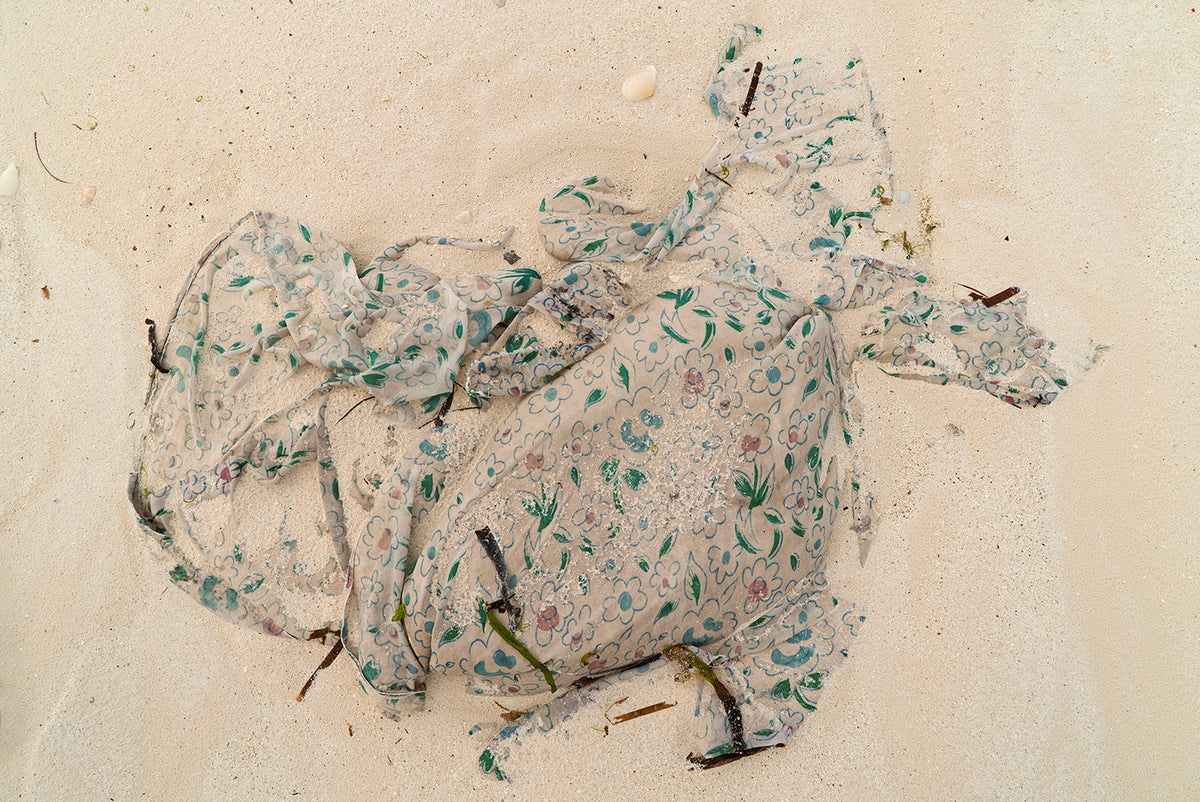 Sea Rags III