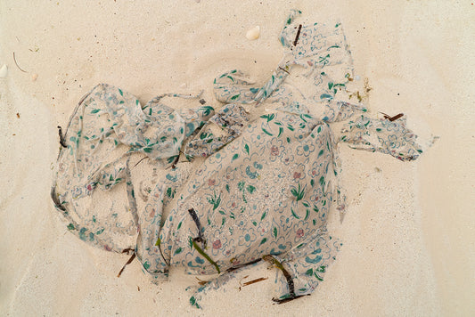 Sea Rags III