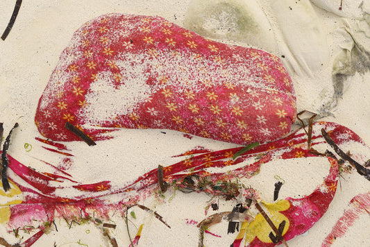 Sea Rags IV