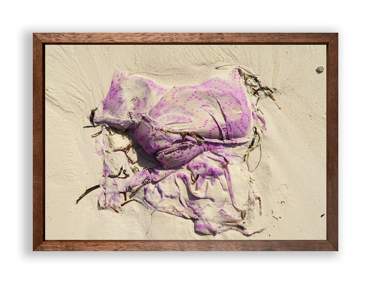 Sea Rags II